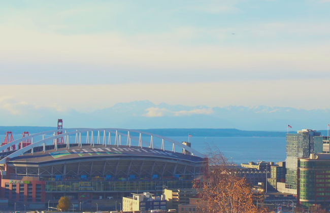 National Football League: Seattle Seahawks Football Game at Lumen Field - Ticket - Foto 9